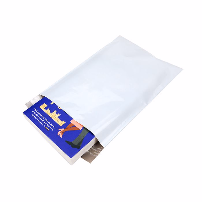 Poly mailers 100 pack